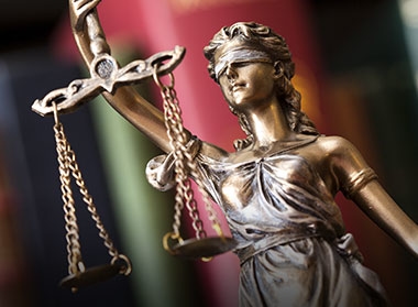 Surrogacy & Reproductive Law Image